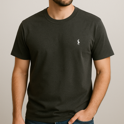 KIT RALPH L. SHIRTS [PAY 2 GET 5] + WATCH