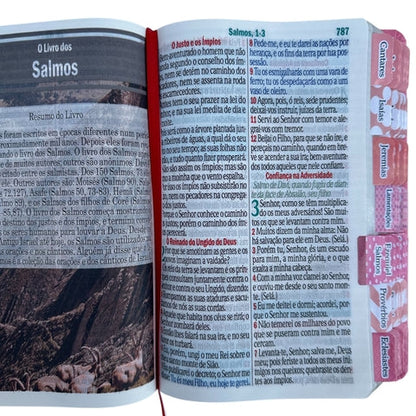 Bíblia Letra Jumbo Rosa Clara Com Abas Adesivas coladas